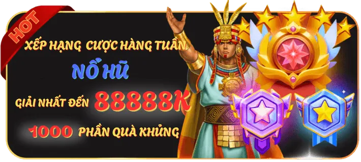 Hoàn trả cược hàng ngày/tuần