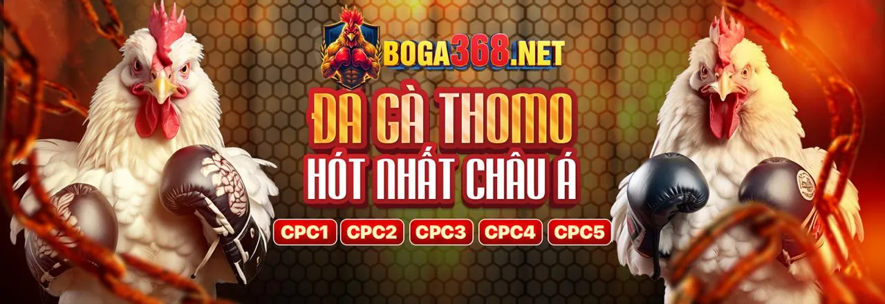 Đội ngũ hỗ trợ khách hàng chuyên nghiệp của WM88 sẵn sàng 24/7