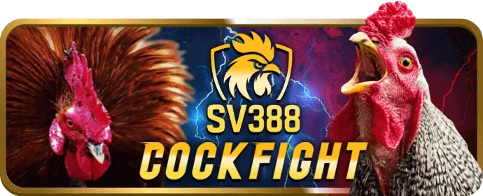 Sảnh Casino Trực Tuyến WM88 với các dealer xinh đẹp và trò chơi đẳng cấp